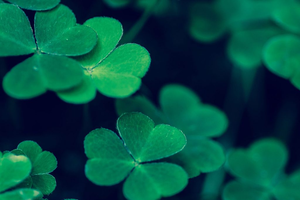 mm-banner-e1541041037562